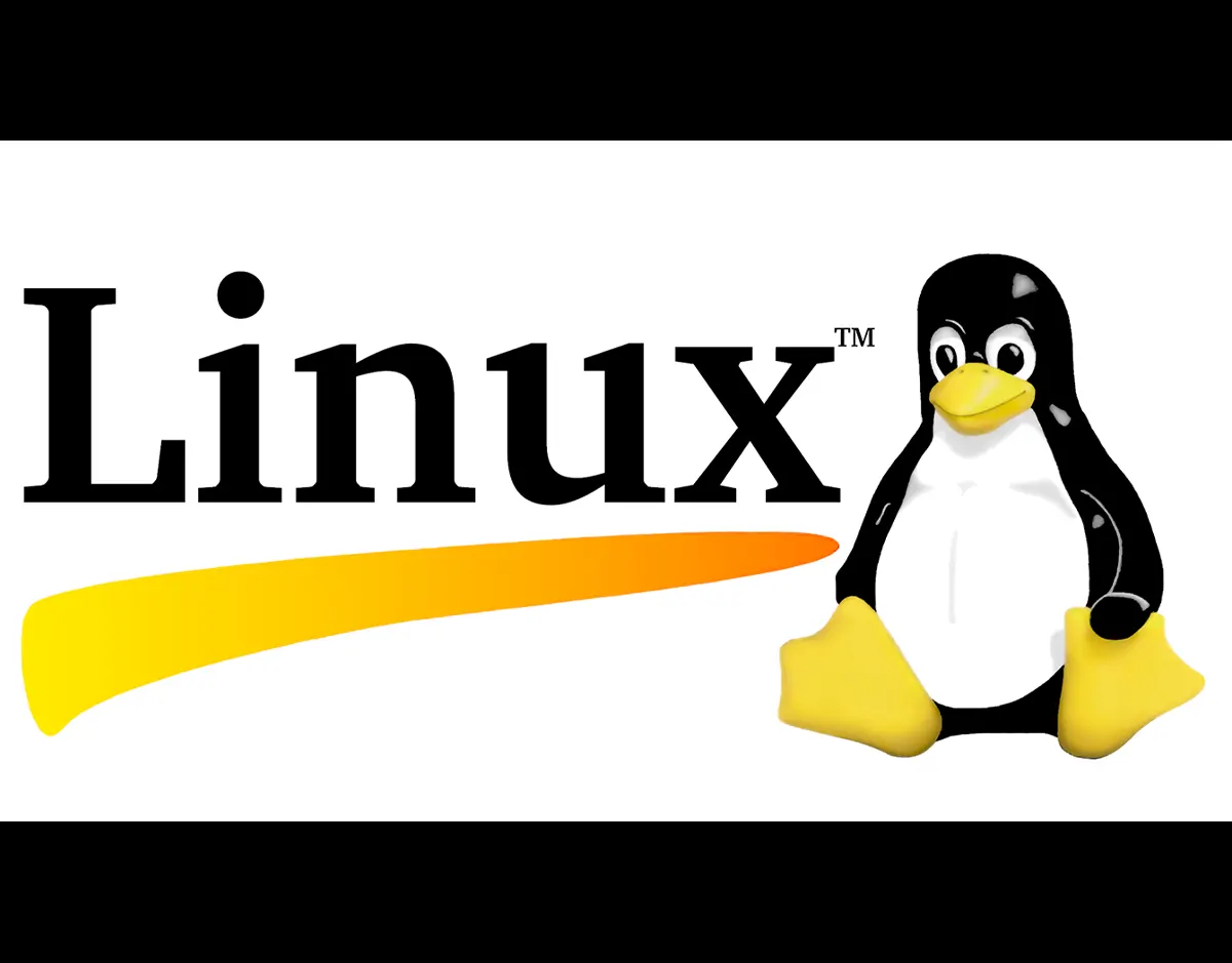 windows vs linux 3
