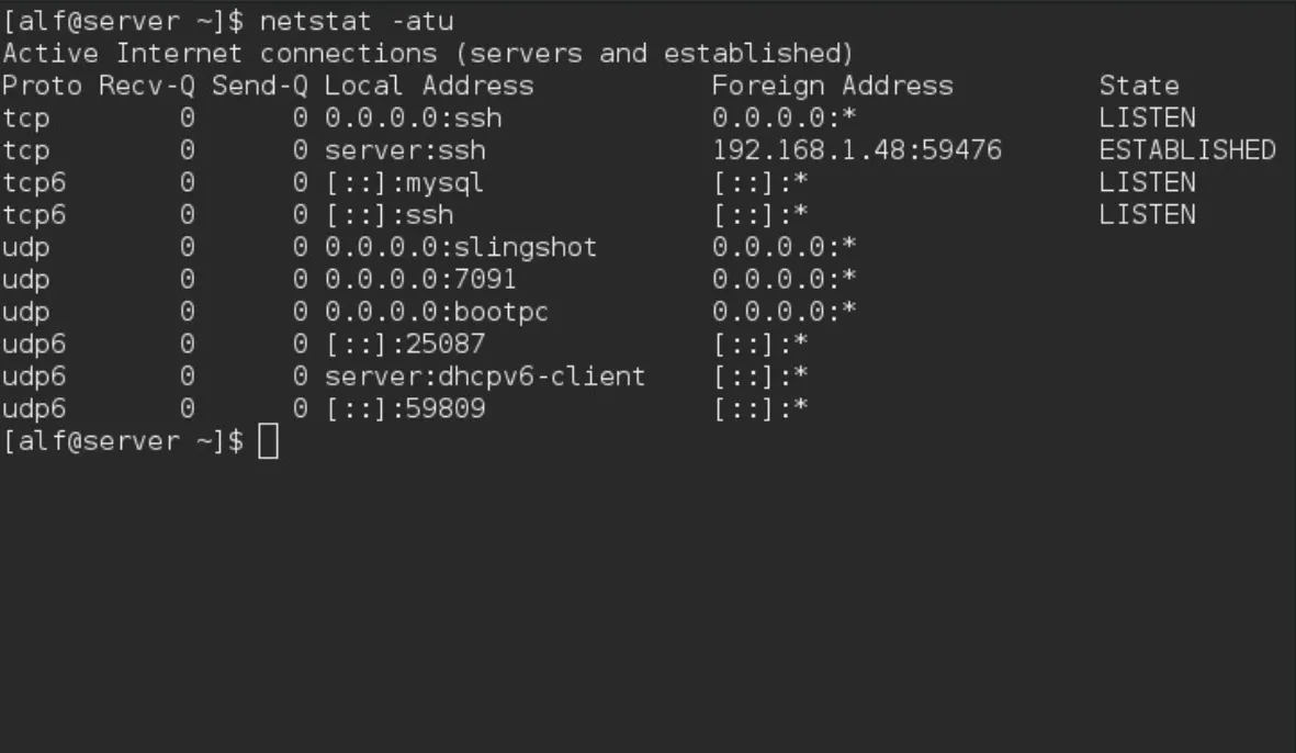 linux commands netstat