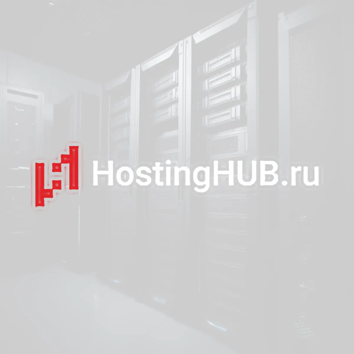 hostinghub.ru